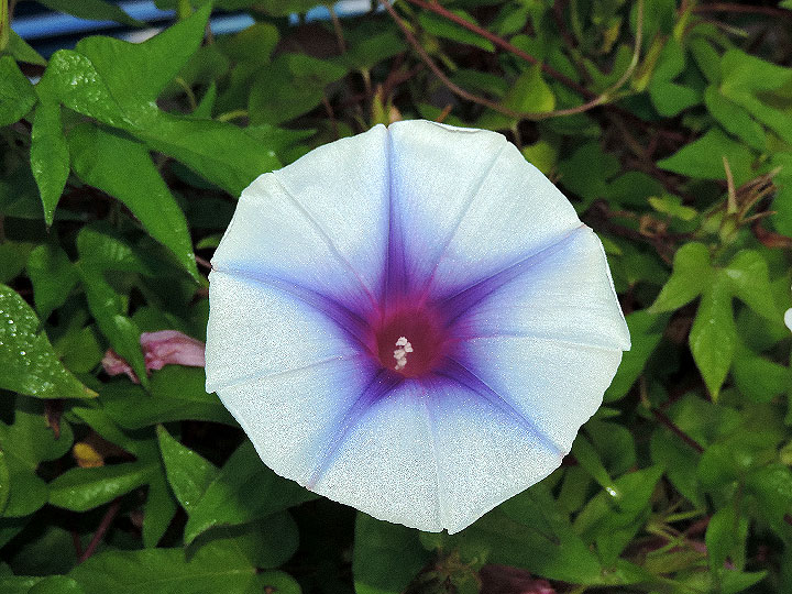 DSCN0194