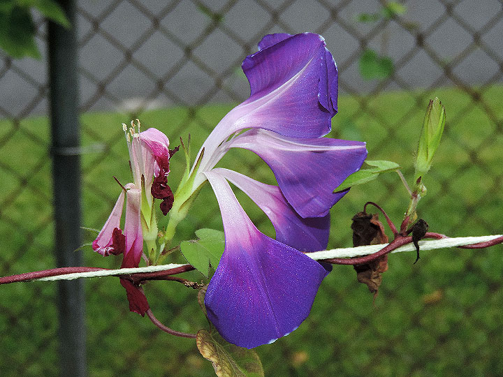 DSCN0342