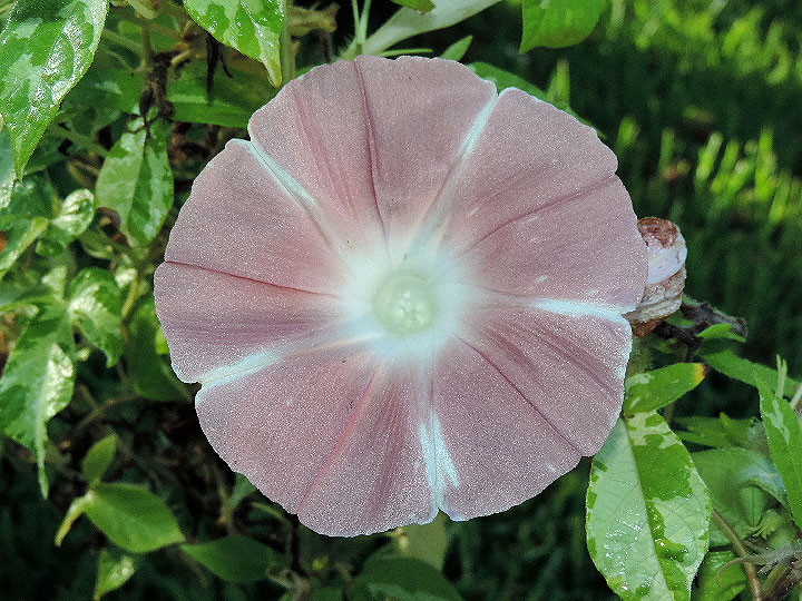 DSCN0909