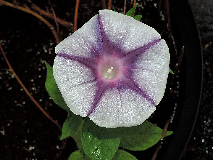 DSCN1568