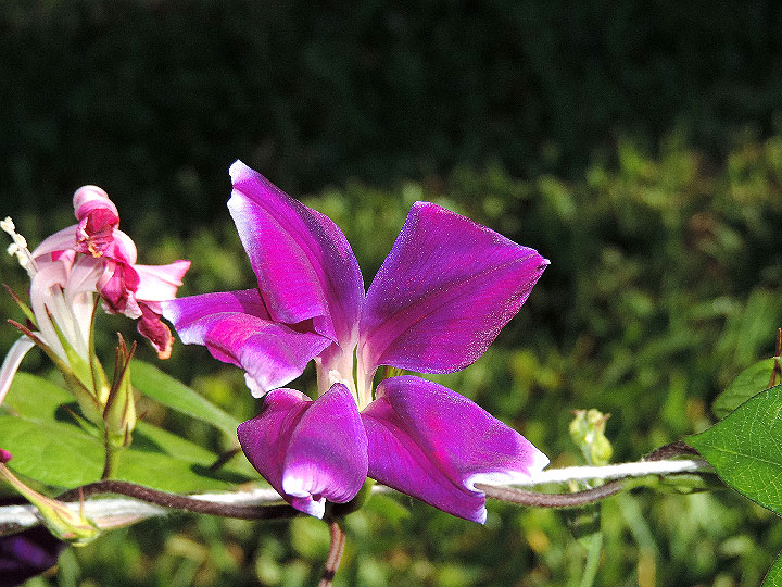 DSCN4485