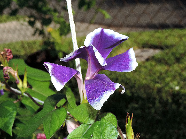 DSCN4718
