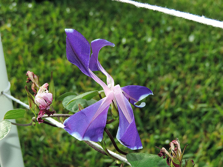 DSCN4826