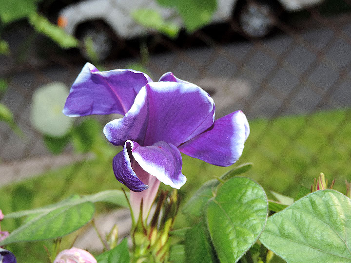 DSCN4827