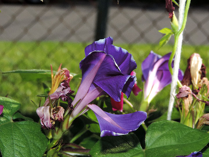 DSCN5103