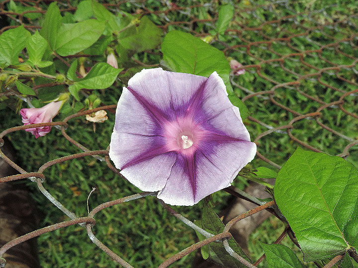 DSCN5222