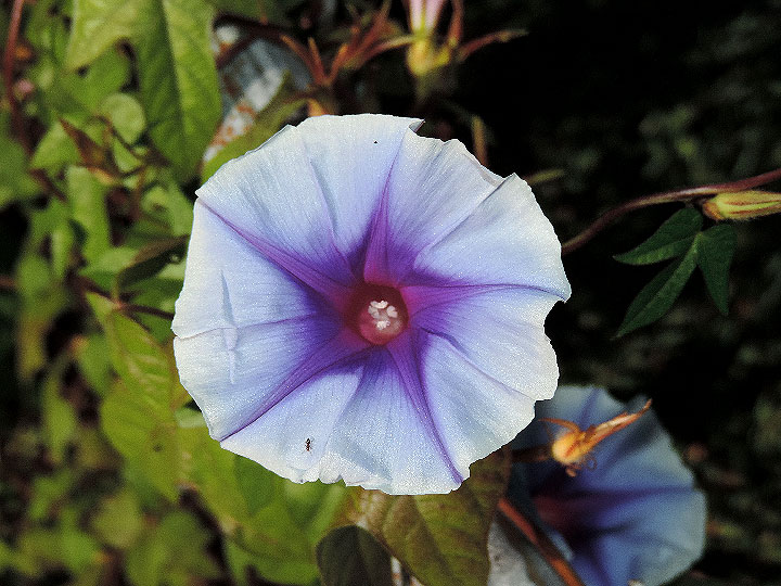 DSCN5405