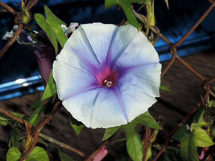 DSCN5643