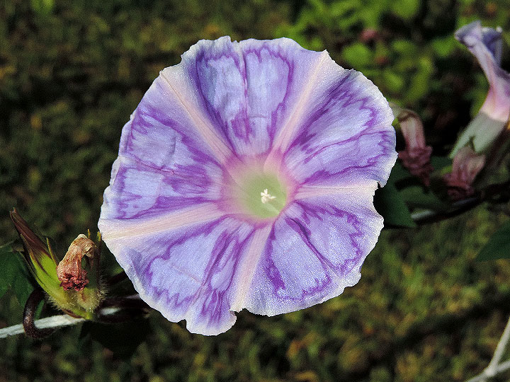 DSCN5678