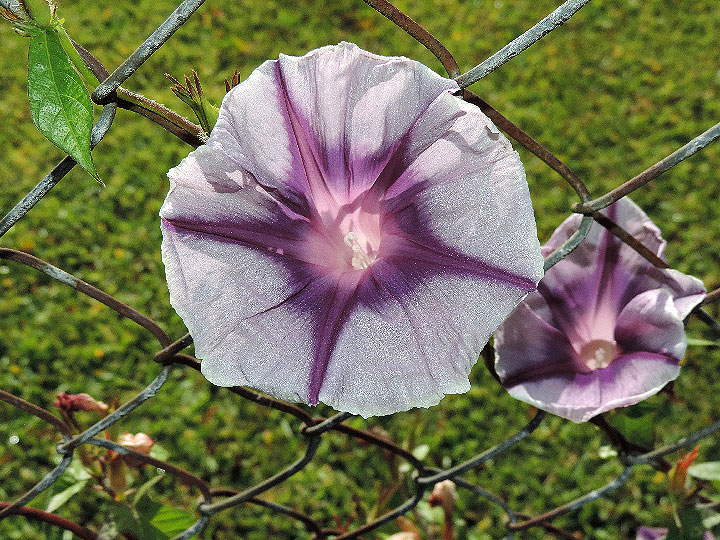 DSCN5789