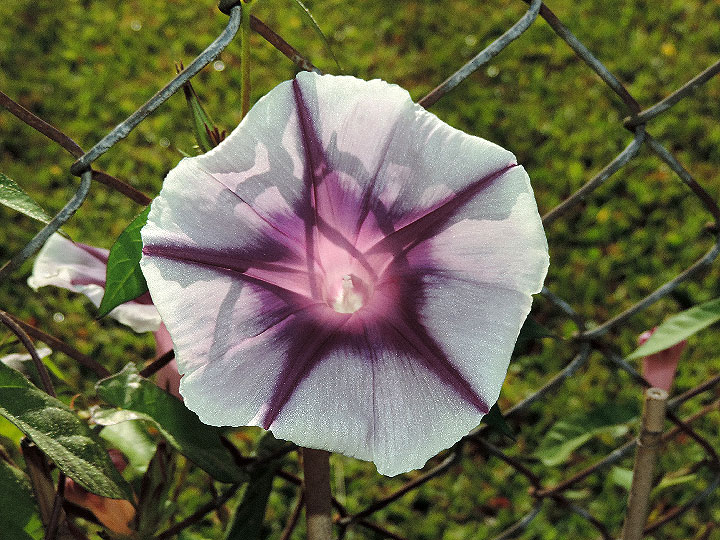 DSCN6166