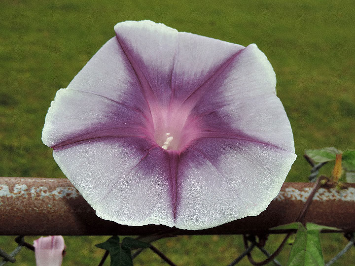 DSCN6301