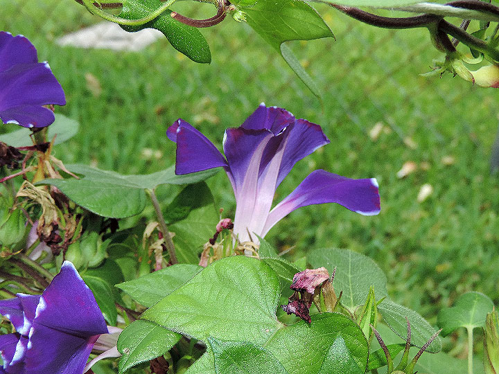 DSCN7183