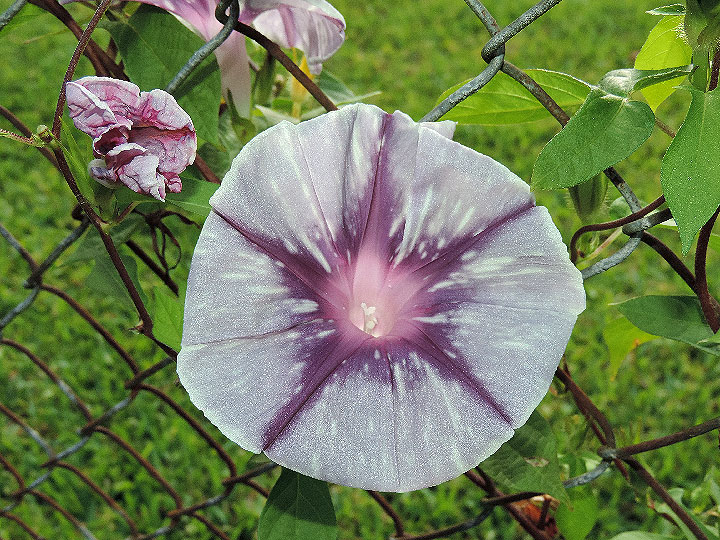 DSCN7691