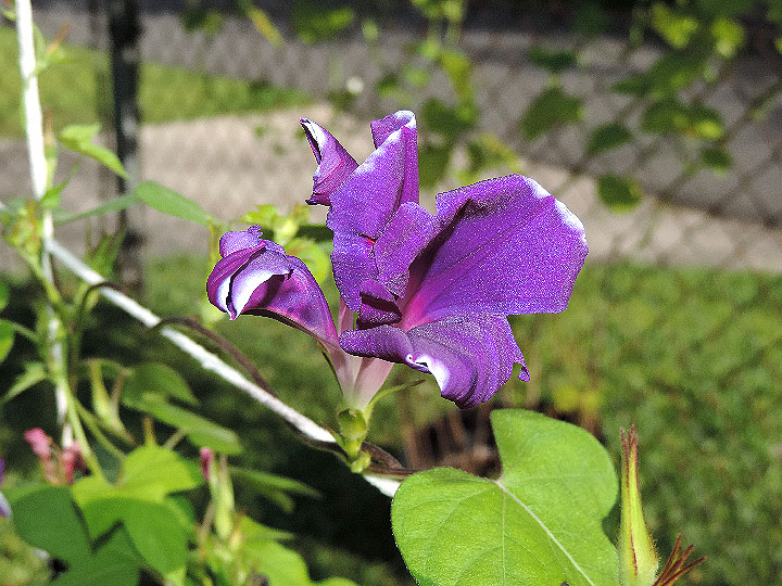 DSCN7813
