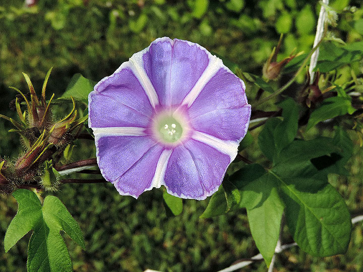 DSCN7824