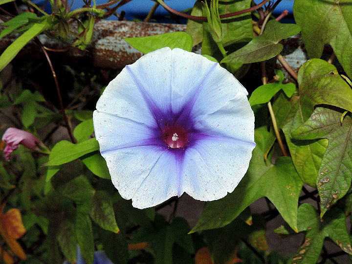 DSCN8023