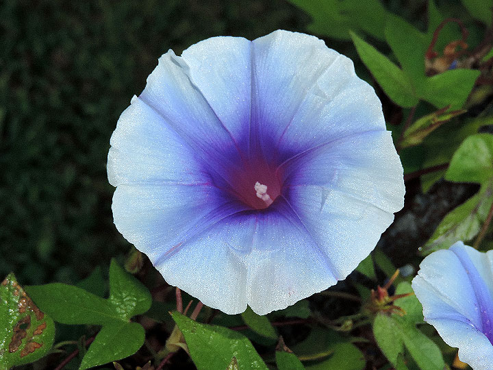DSCN8639