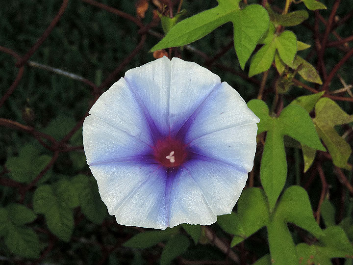 DSCN8760