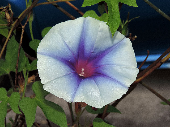 DSCN9108