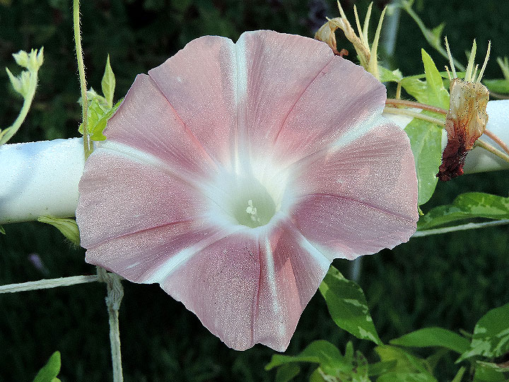 DSCN9226