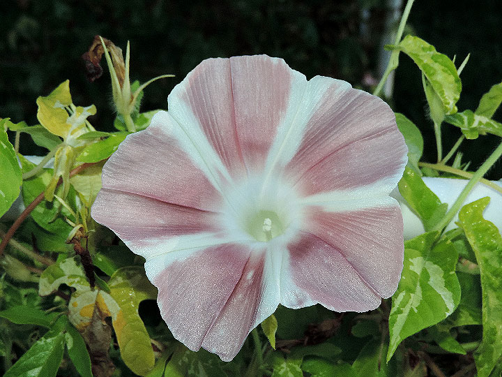 DSCN9434
