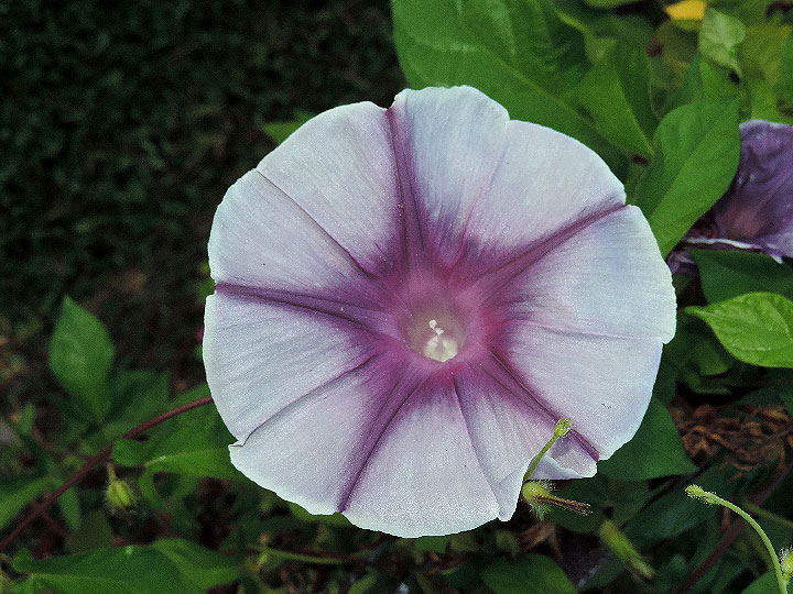 DSCN9528