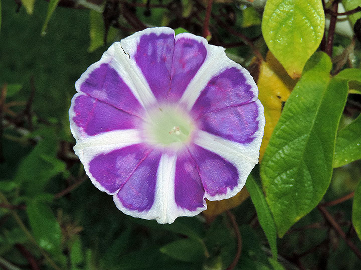 DSCN9641