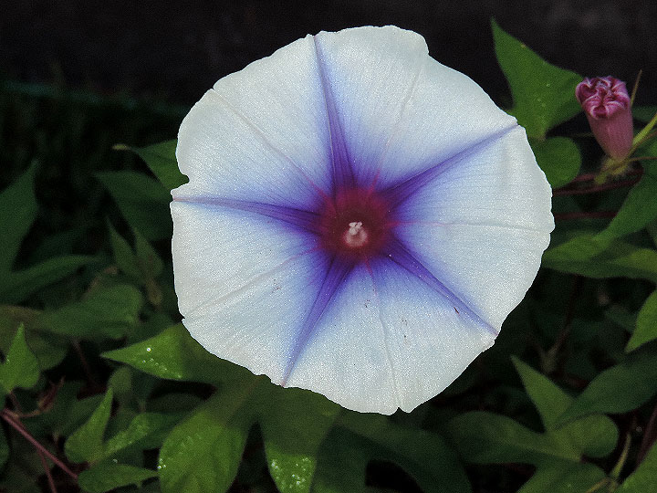 DSCN9920