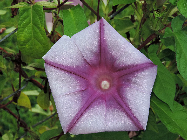DSCN9927