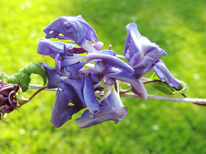 1DSCN1150