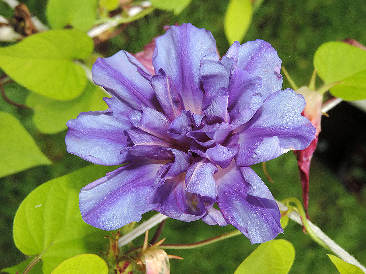 1DSCN7972