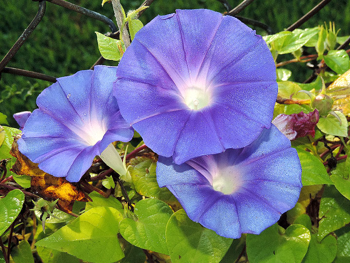 2DSCN0938