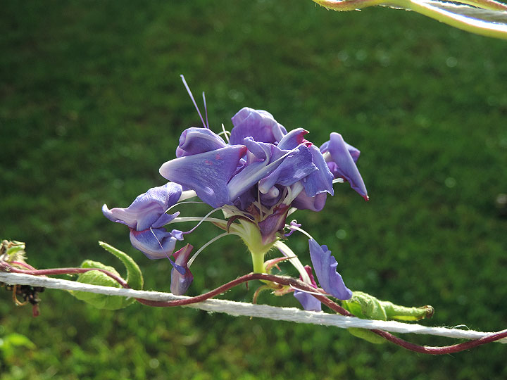 3DSCN1574