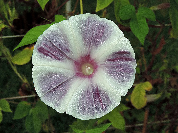 3DSCN9038