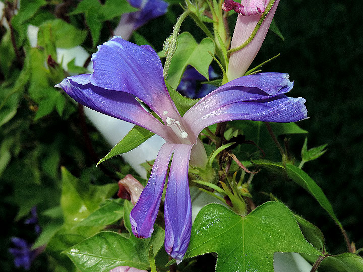 4DSCN8433