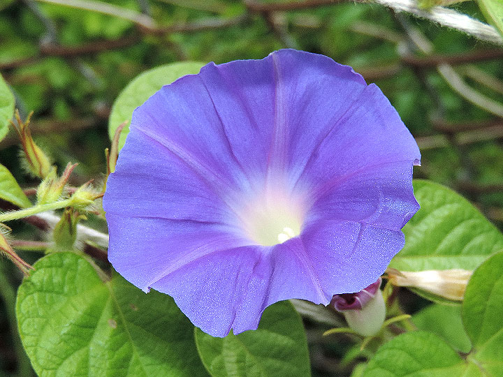 6DSCN5267