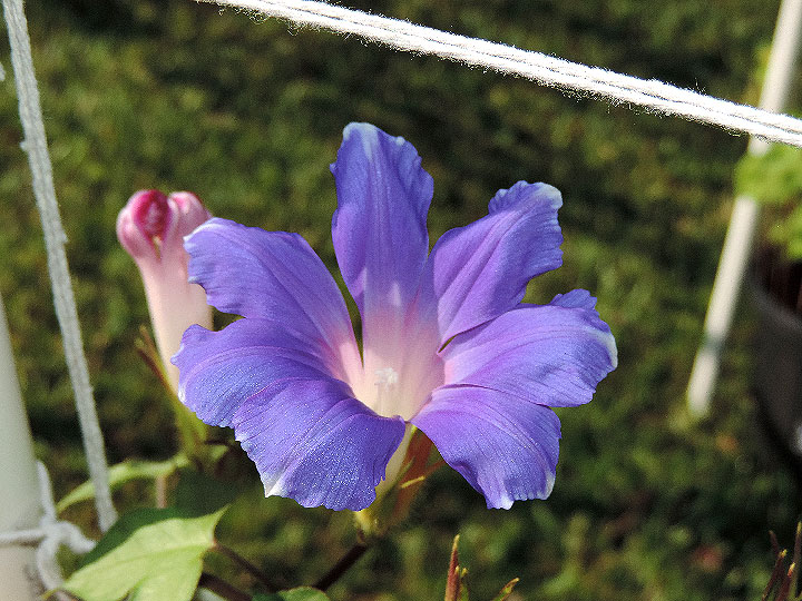 6DSCN6610