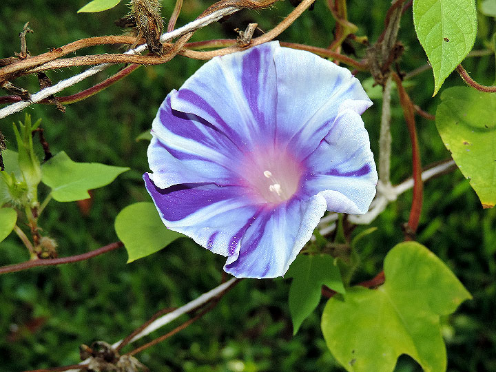 DSCN0110