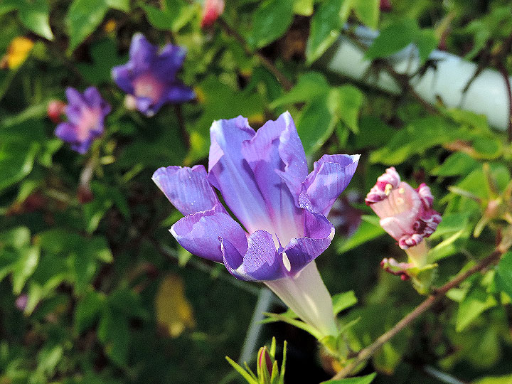 DSCN0237