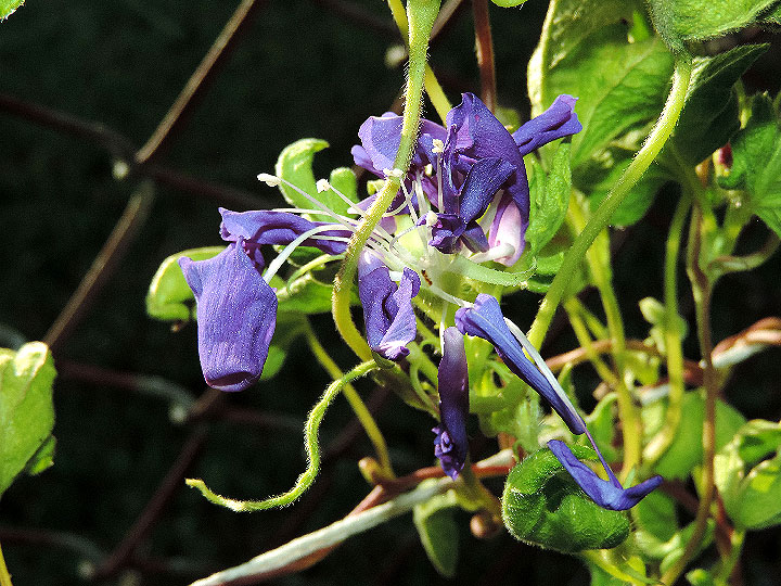 DSCN0260