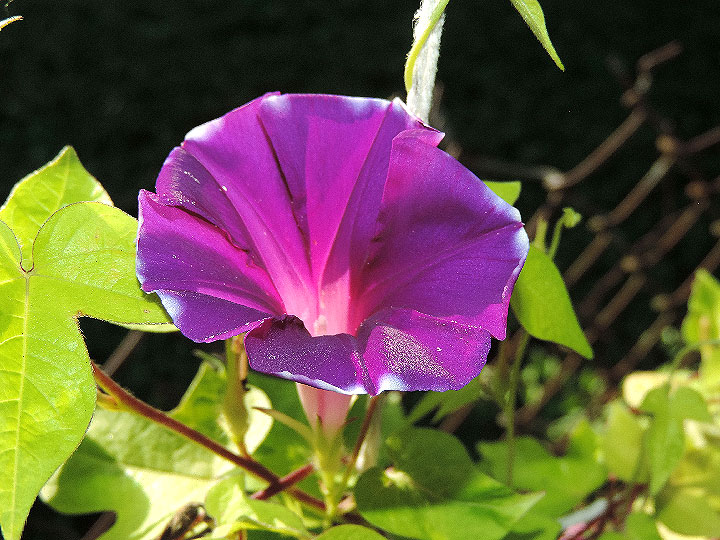 DSCN0266