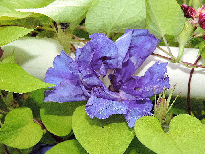 DSCN0396