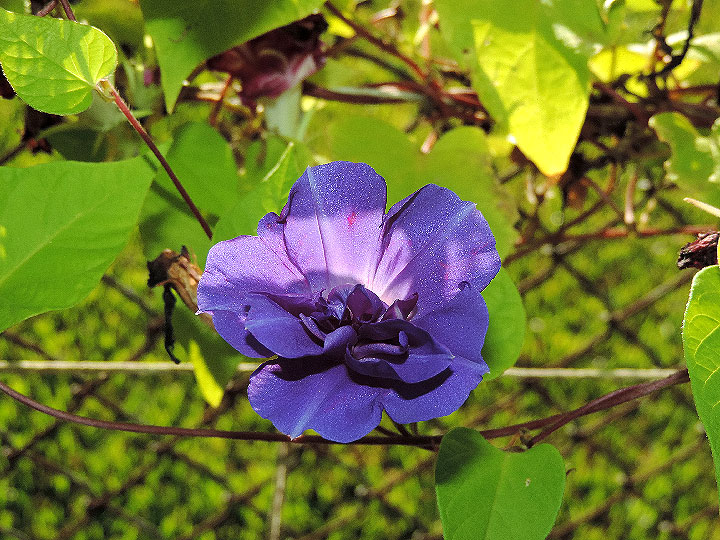 DSCN0520