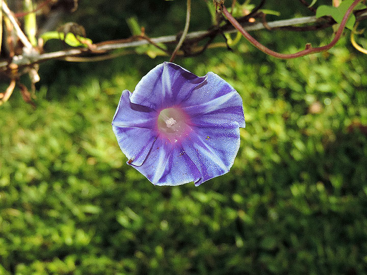 DSCN0527