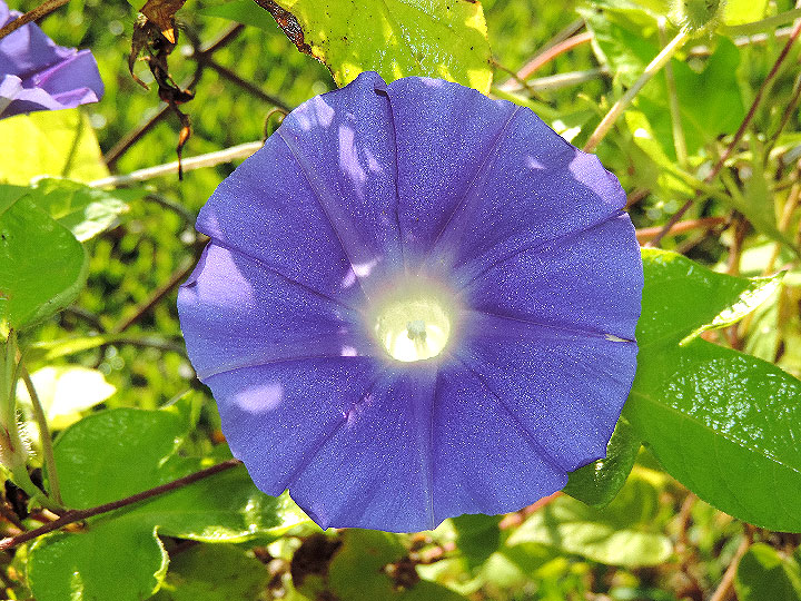 DSCN0627