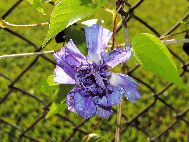 DSCN0630