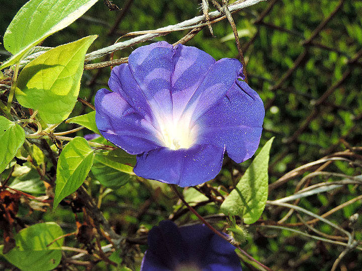DSCN0736