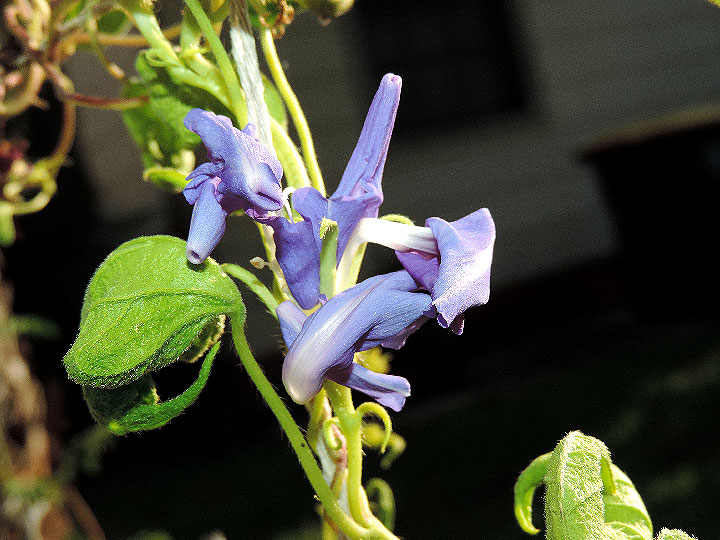 DSCN1252