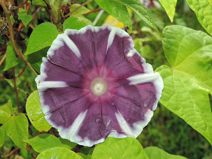 DSCN1476